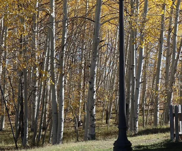 Rebel Ranch Medicine Bow National Forest *