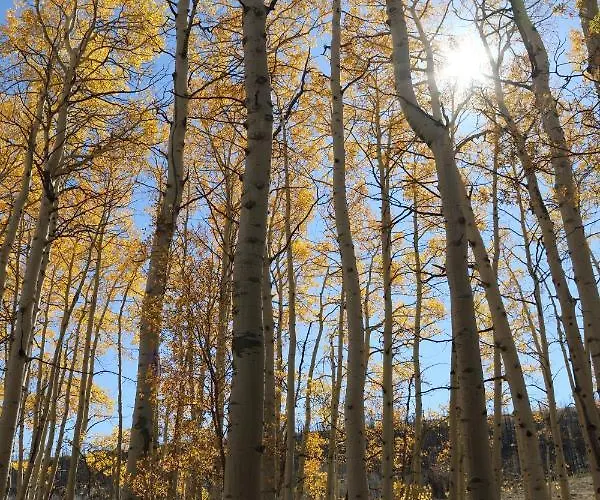 Holiday home Rebel Ranch Medicine Bow National Forest *